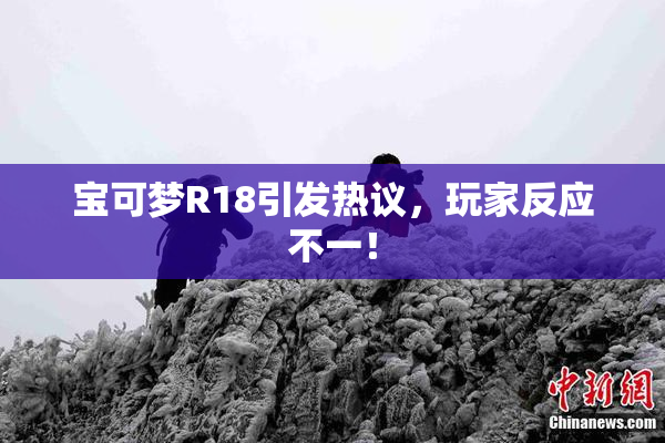 宝可梦R18引发热议，玩家反应不一！
