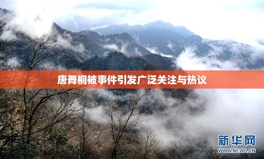 唐舞桐被事件引发广泛关注与热议