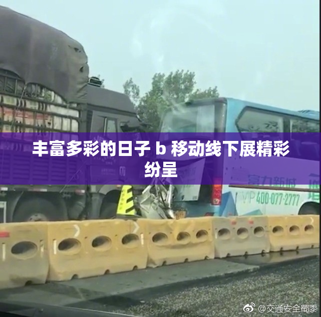 丰富多彩的日子 b 移动线下展精彩纷呈