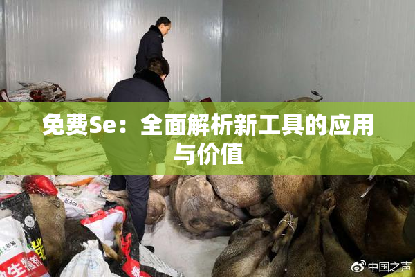 免费Se：全面解析新工具的应用与价值