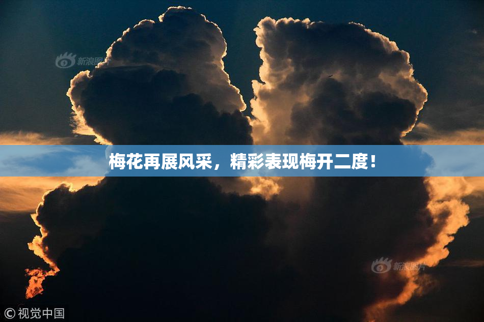 梅花再展风采，精彩表现梅开二度！
