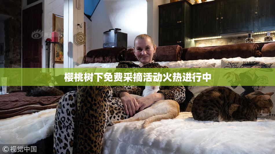 樱桃树下免费采摘活动火热进行中