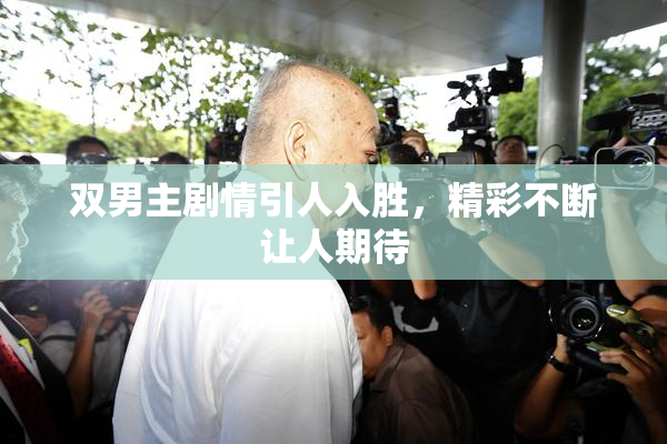 双男主剧情引人入胜，精彩不断让人期待