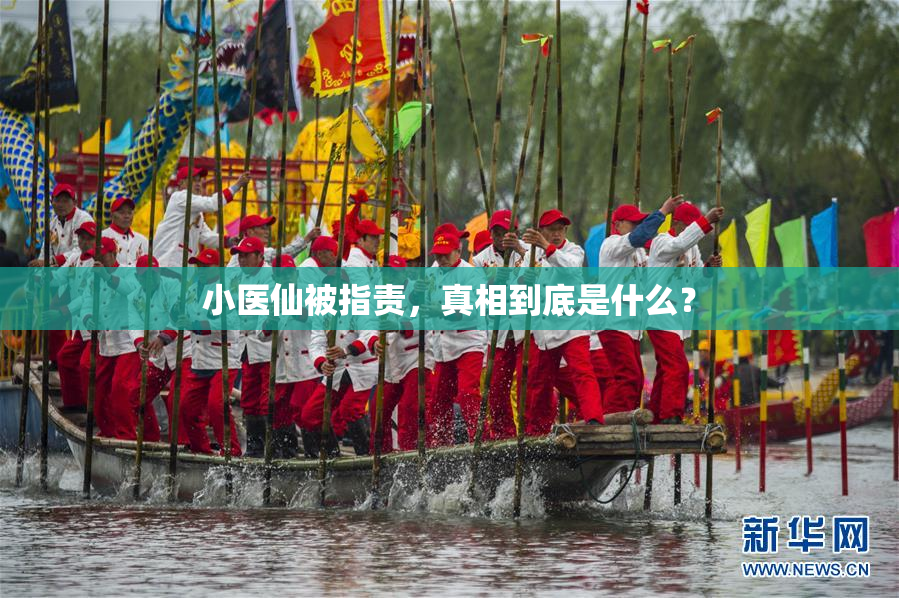 小医仙被指责，真相到底是什么？
