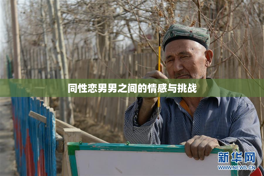 同性恋男男之间的情感与挑战