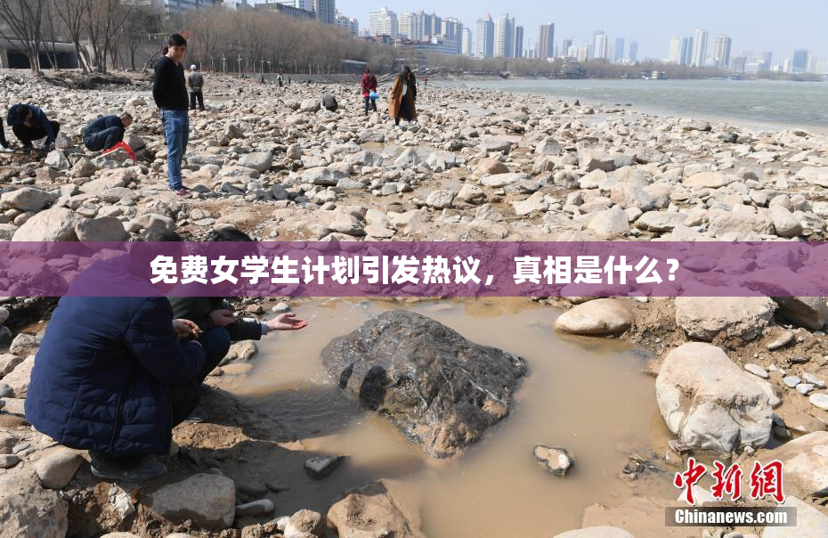 免费女学生计划引发热议，真相是什么？
