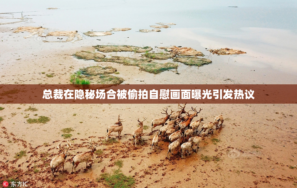总裁在隐秘场合被偷拍自慰画面曝光引发热议