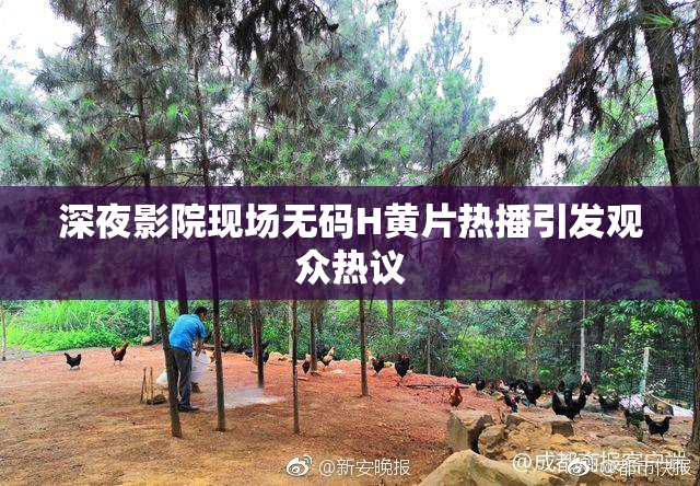 深夜影院现场无码H黄片热播引发观众热议