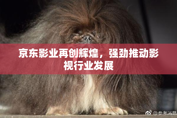 京东影业再创辉煌，强劲推动影视行业发展