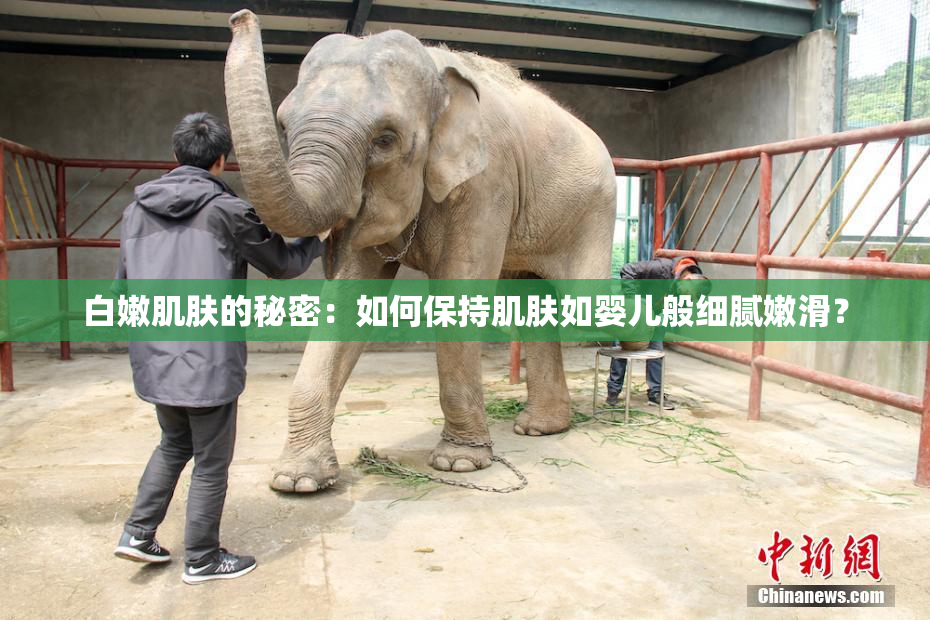 白嫩肌肤的秘密：如何保持肌肤如婴儿般细腻嫩滑？