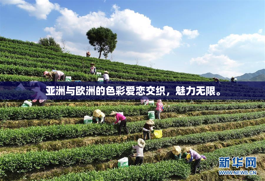 亚洲与欧洲的色彩爱恋交织，魅力无限。