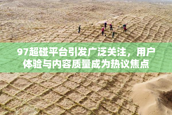 97超碰平台引发广泛关注，用户体验与内容质量成为热议焦点