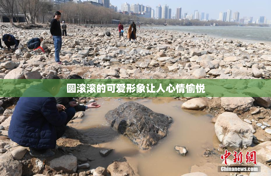 圆滚滚的可爱形象让人心情愉悦