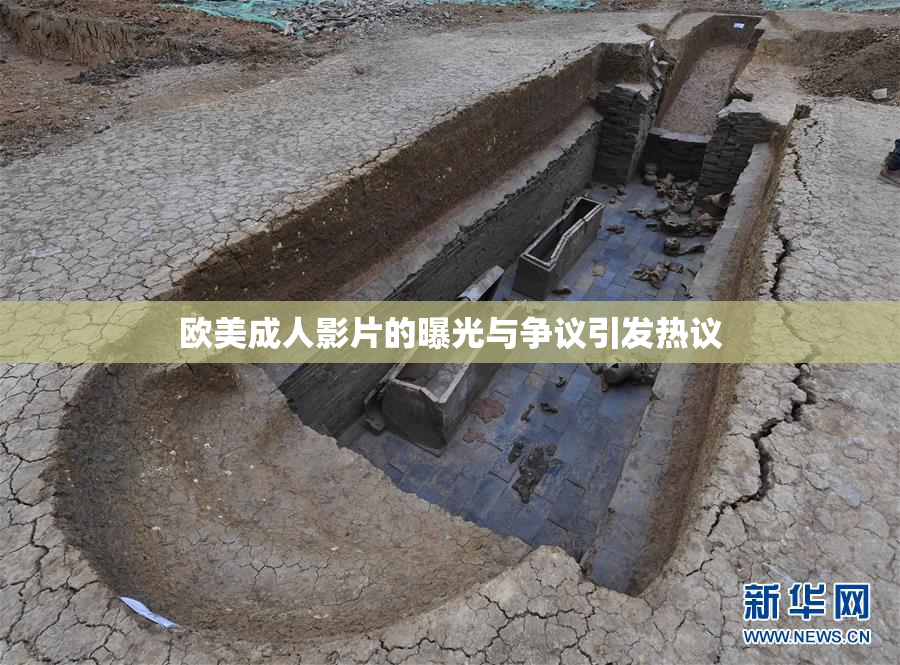 欧美成人影片的曝光与争议引发热议