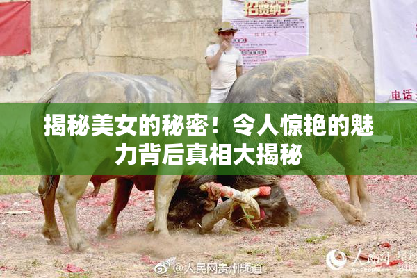 揭秘美女的秘密！令人惊艳的魅力背后真相大揭秘