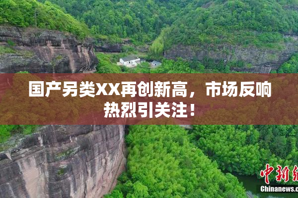 国产另类XX再创新高，市场反响热烈引关注！
