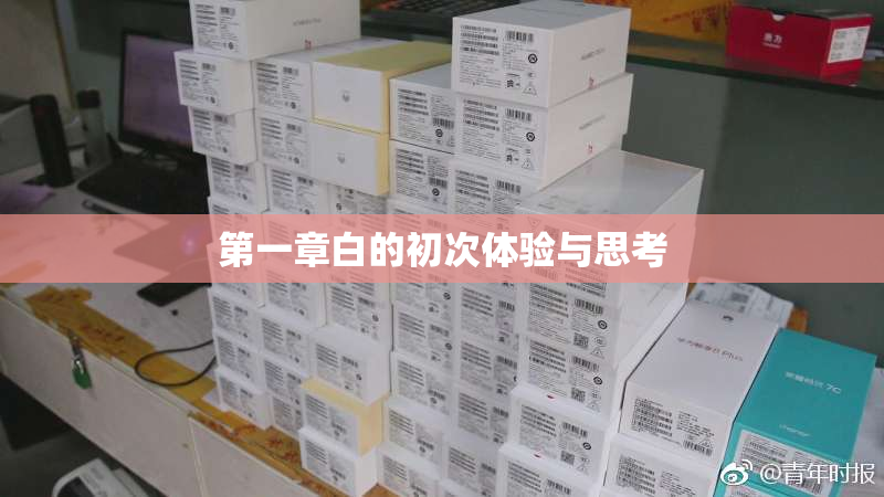 第一章白的初次体验与思考