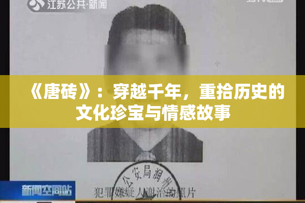 《唐砖》：穿越千年，重拾历史的文化珍宝与情感故事