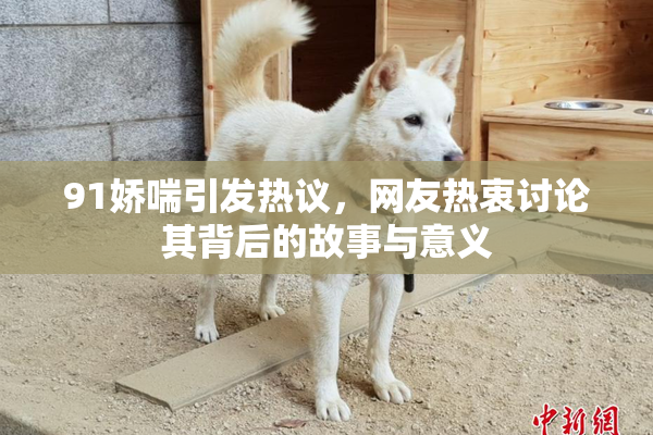 91娇喘引发热议，网友热衷讨论其背后的故事与意义