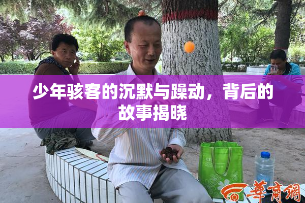少年骇客的沉默与躁动，背后的故事揭晓