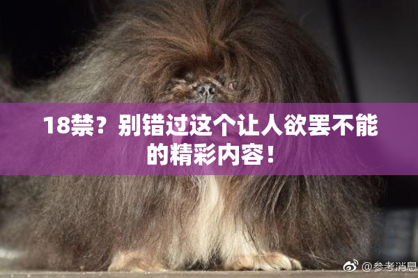 18禁？别错过这个让人欲罢不能的精彩内容！