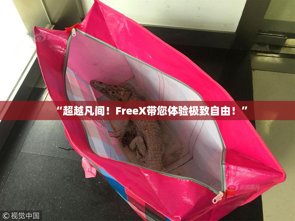 “超越凡间！FreeX带您体验极致自由！”
