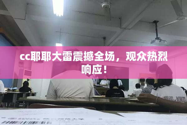 cc耶耶大雷震撼全场，观众热烈响应！