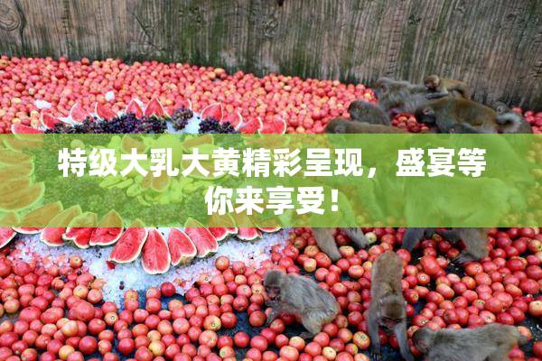 特级大乳大黄精彩呈现，盛宴等你来享受！