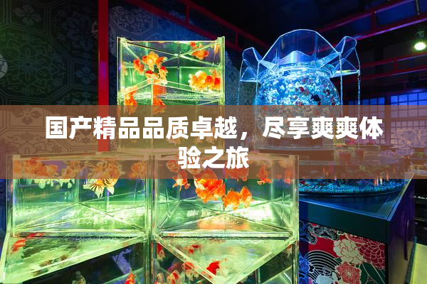 国产精品品质卓越，尽享爽爽体验之旅