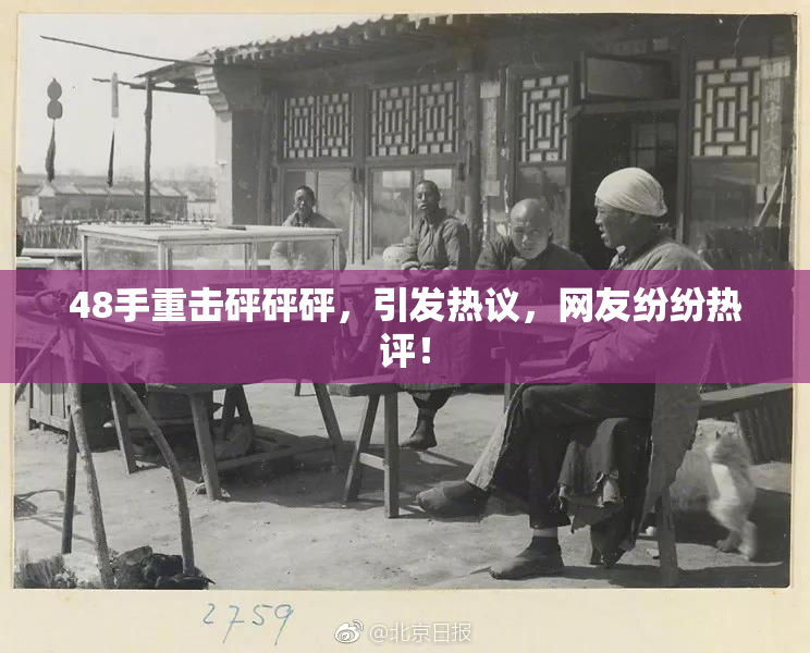 48手重击砰砰砰，引发热议，网友纷纷热评！