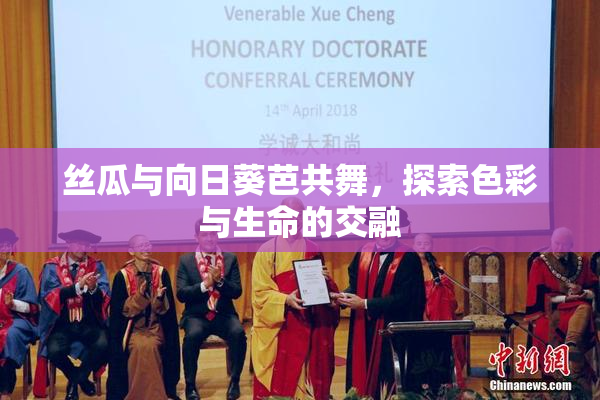 丝瓜与向日葵芭共舞，探索色彩与生命的交融