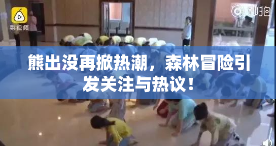 熊出没再掀热潮，森林冒险引发关注与热议！