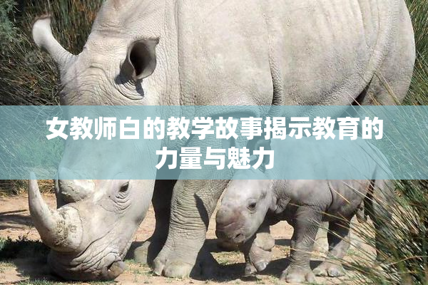 女教师白的教学故事揭示教育的力量与魅力