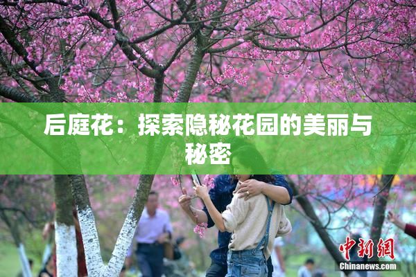 后庭花：探索隐秘花园的美丽与秘密