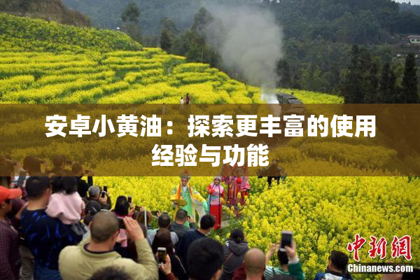 安卓小黄油：探索更丰富的使用经验与功能