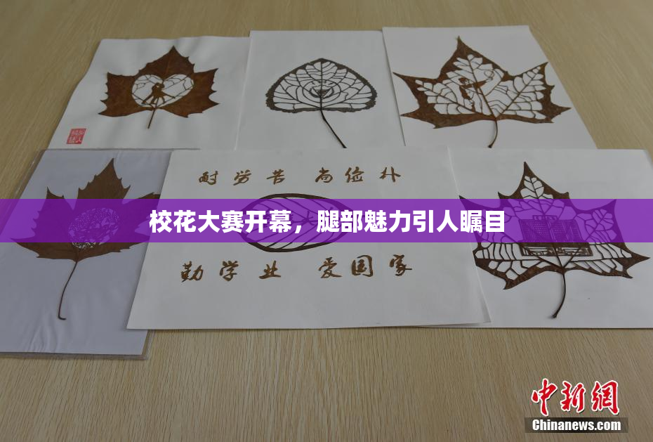 校花大赛开幕，腿部魅力引人瞩目