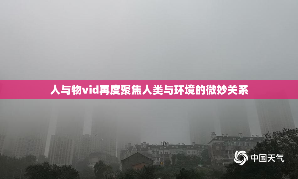 人与物vid再度聚焦人类与环境的微妙关系