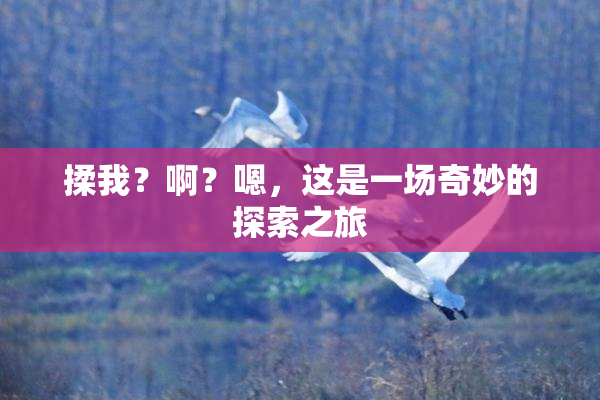 揉我？啊？嗯，这是一场奇妙的探索之旅
