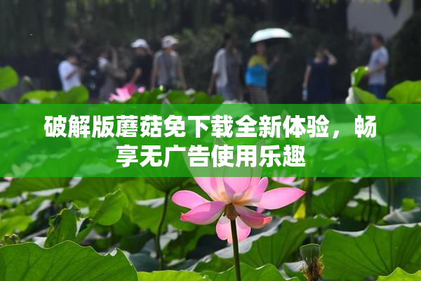 破解版蘑菇免下载全新体验，畅享无广告使用乐趣