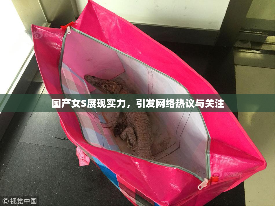 国产女S展现实力，引发网络热议与关注