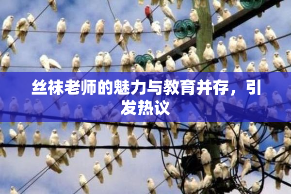丝袜老师的魅力与教育并存，引发热议