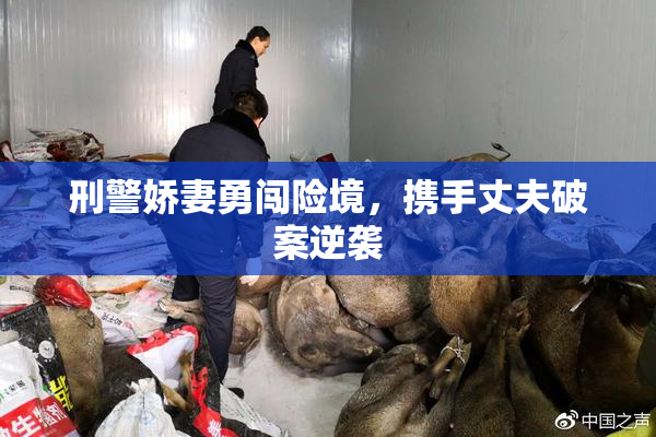 刑警娇妻勇闯险境，携手丈夫破案逆袭