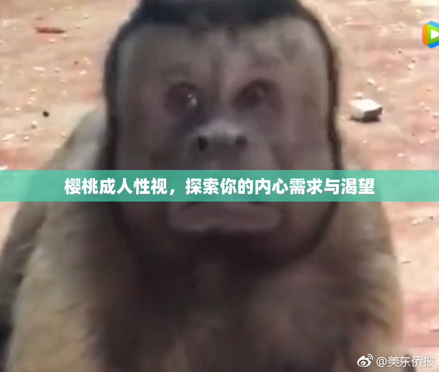 樱桃成人性视，探索你的内心需求与渴望