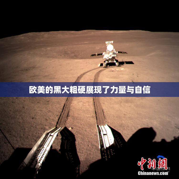 欧美的黑大粗硬展现了力量与自信