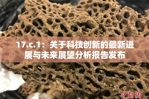 17.c.1：关于科技创新的最新进展与未来展望分析报告发布
