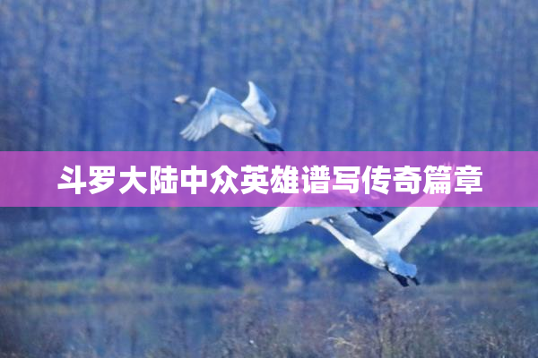 斗罗大陆中众英雄谱写传奇篇章