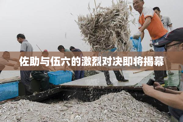 佐助与伍六的激烈对决即将揭幕