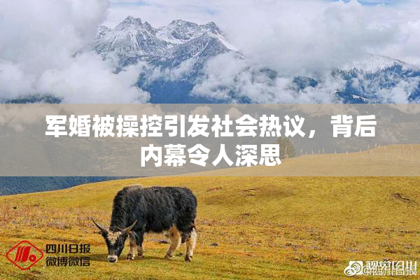 军婚被操控引发社会热议，背后内幕令人深思