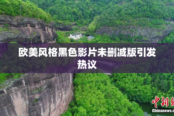 欧美风格黑色影片未删减版引发热议