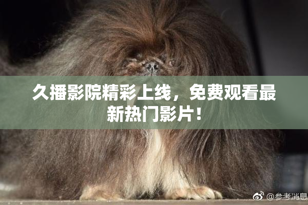 久播影院精彩上线，免费观看最新热门影片！